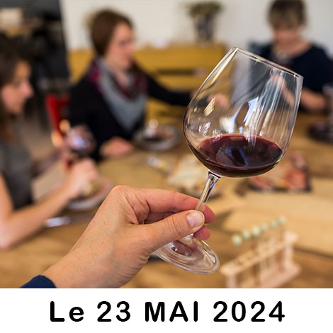 DEGUSTATION OENOLOGIE à Biscarrosse / 23 mai 2024 / SLVie 6