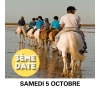 3ème Balade à cheval en bord de mer et pique-nique à Ondres / 5 octobre 2024