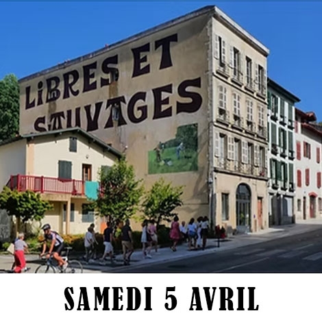 Visite commentée des fresques à Bayonne / 5 avril 2025