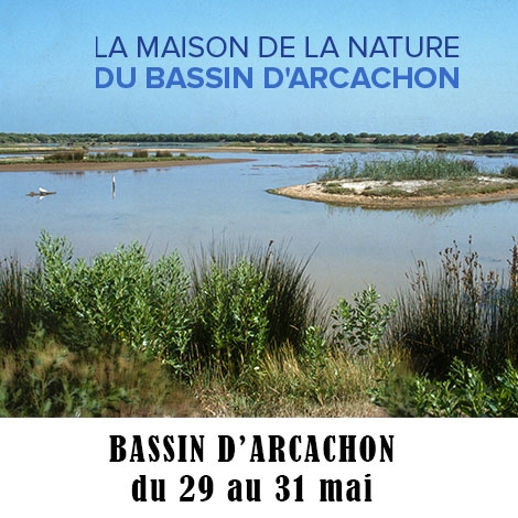 Week-end famille à Arcachon / du 29 mai au 31 mai 2025