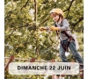 Accrobranche à Labenne (Parc Robinson) / 22 juin 2025